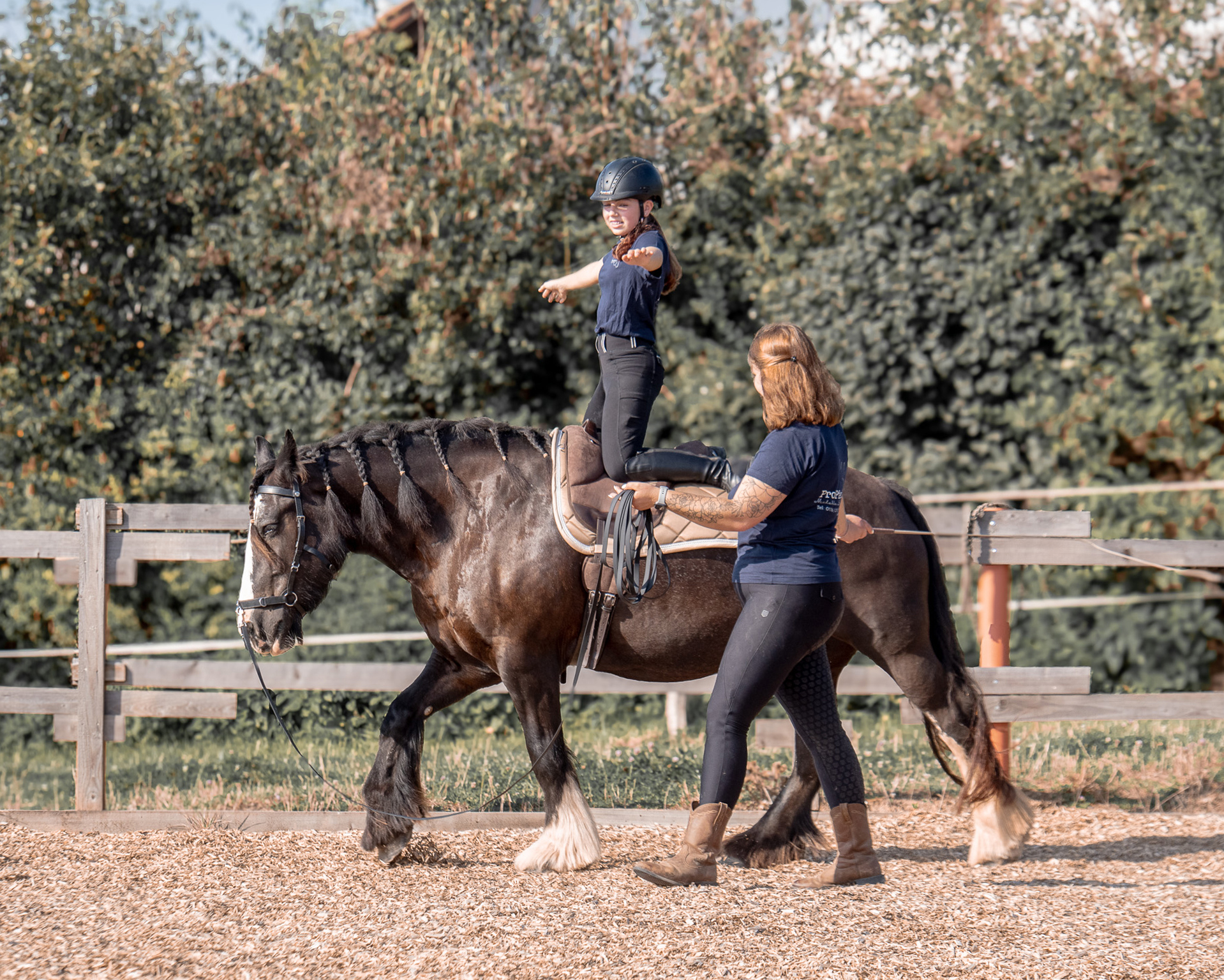 ML_Webseite_Schulpferde-Unterricht